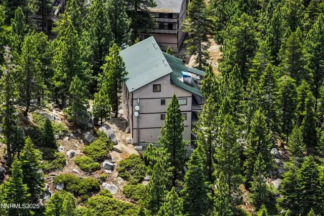an aerial view of a house with a yard and plants