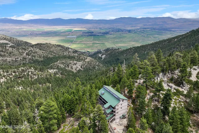 a view of a lush green hillside and a houses