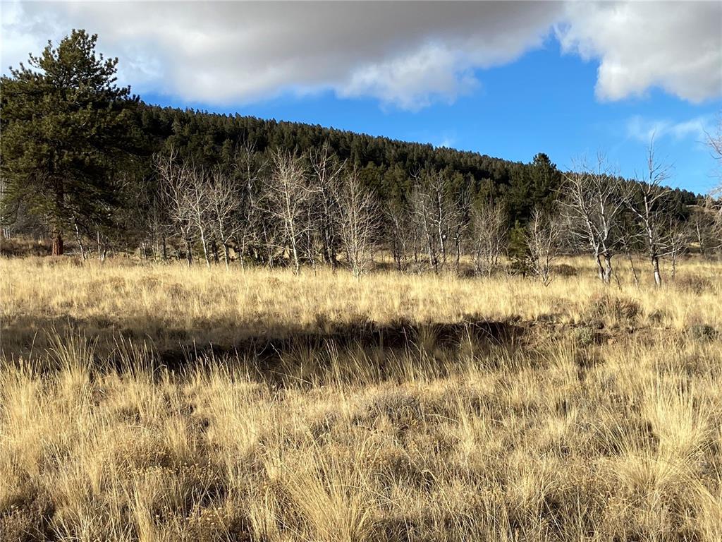 3106 Redhill Road Fairplay, CO 80440 - Photo 20 of 22 Gallery Image 20