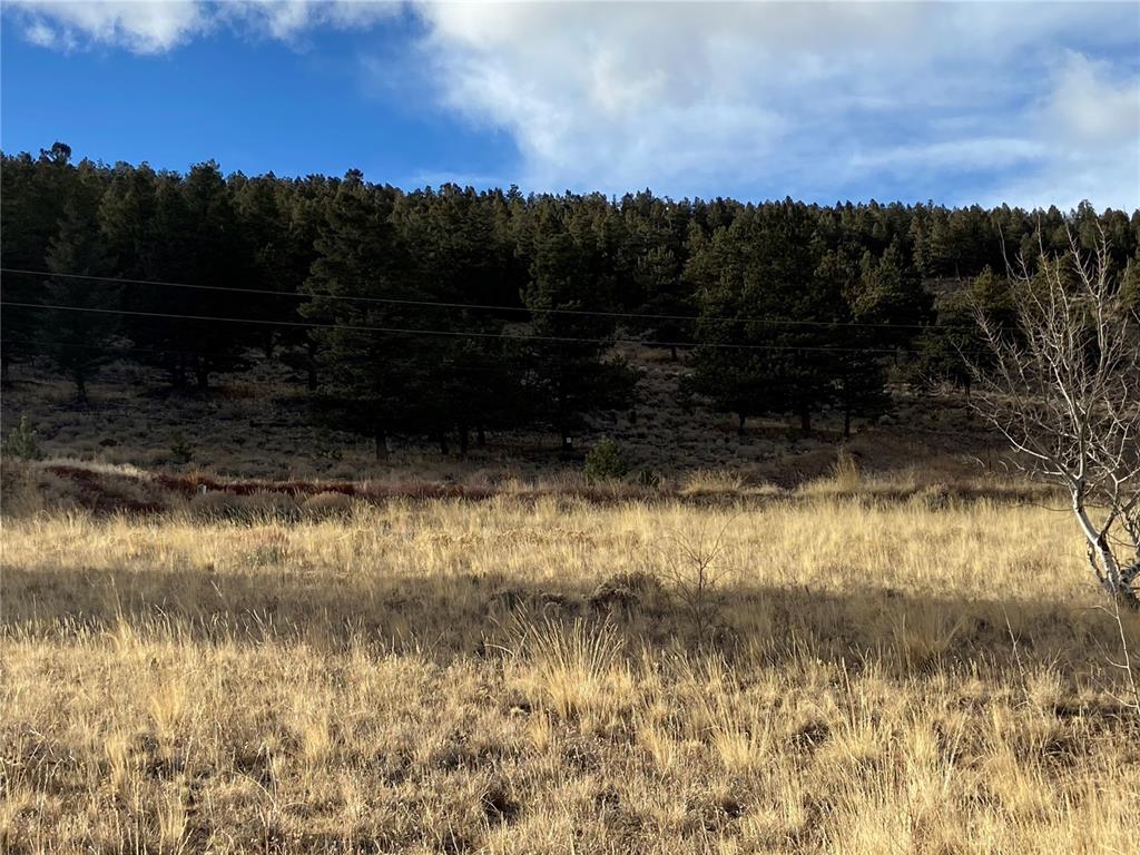 3106 Redhill Road Fairplay, CO 80440 - Photo 21 of 22 Gallery Image 21