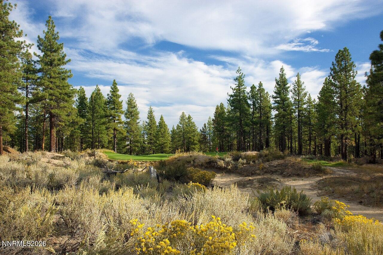 195 Walton Toll Road, Unit 210 Carson City, NV 89705 - Photo 39 of 41 Golf Course