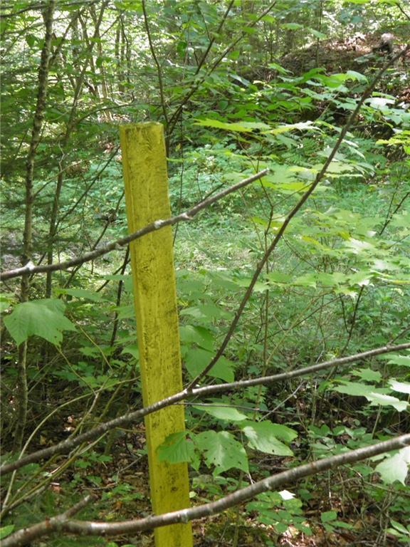 0 Beaver Mountain Road Southwest Sandy River Plt, ME 04970 - Photo 15 of 31 The mark for Bayroot LLC and is the lot.