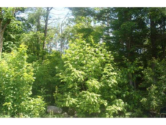 0 Camp Road Windsor, NH 03244 - Photo 1 of 1