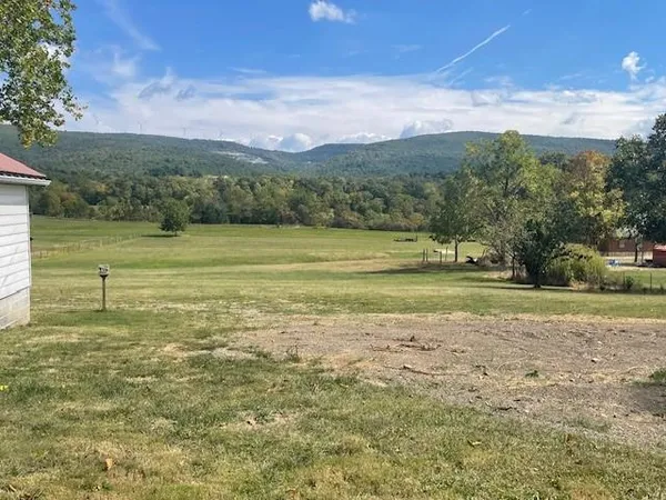 a view of a field with an ocean