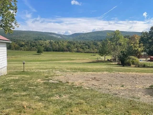 a view of a field with an ocean