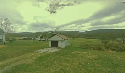 a view of a big yard with an outdoor space