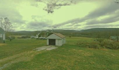 2140 Springhill Furnace Road Smithfield, PA 15478 - Photo 7 of 8 a view of a big yard with an outdoor space