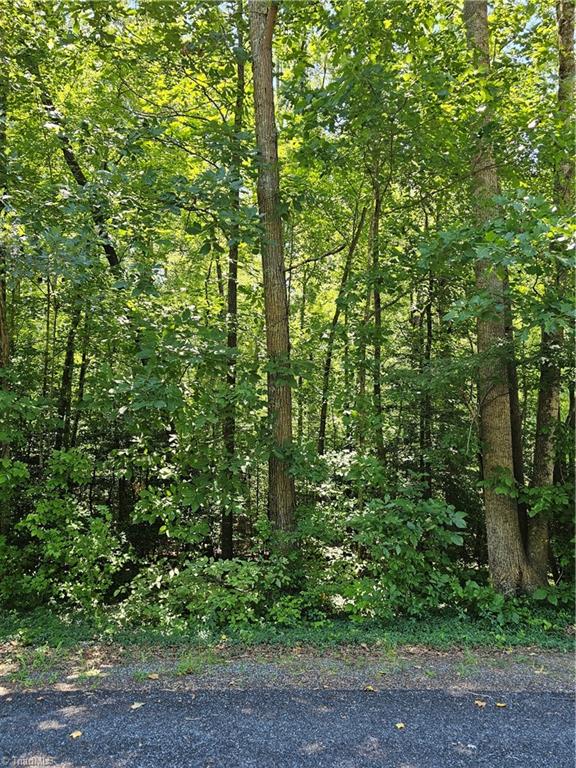 Lot 408 Pine Road Lexington, NC 27292 - Photo 1 of 3 Gallery Image 1