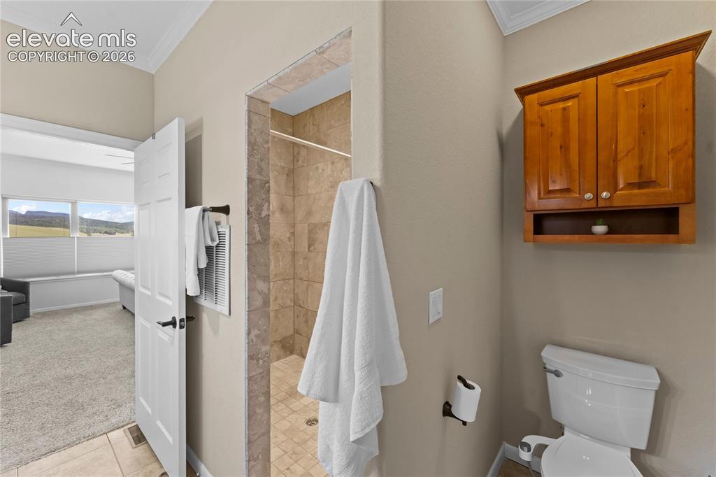 106 Joshua Road Divide, CO 80814 - Photo 28 of 39