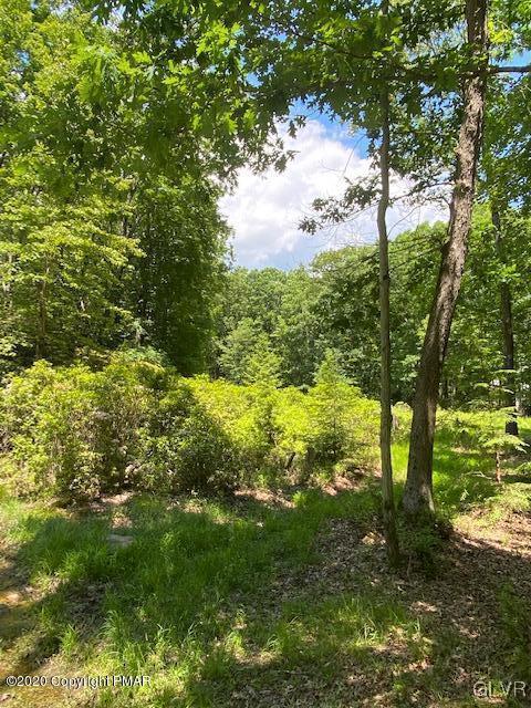 Primrose Lane Jim Thorpe, PA 18229 - Photo 1 of 10 a view of a garden with plants and large trees