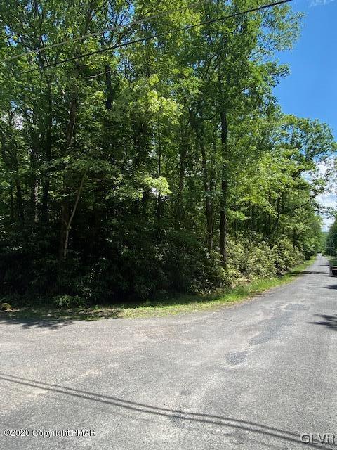 Primrose Lane Jim Thorpe, PA 18229 - Photo 5 of 10 a view of a yard