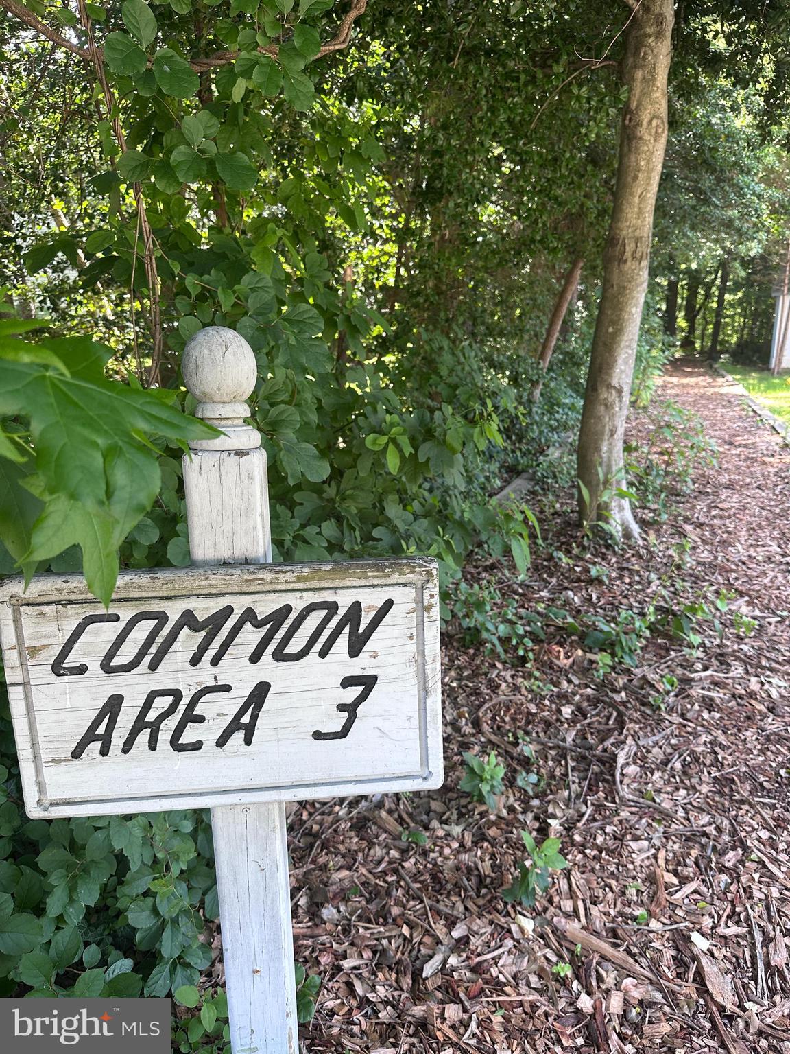 289 Whistling Pine Road Severna Park, MD 21146 - Photo 50 of 53 Community Trail - It's Shaded!