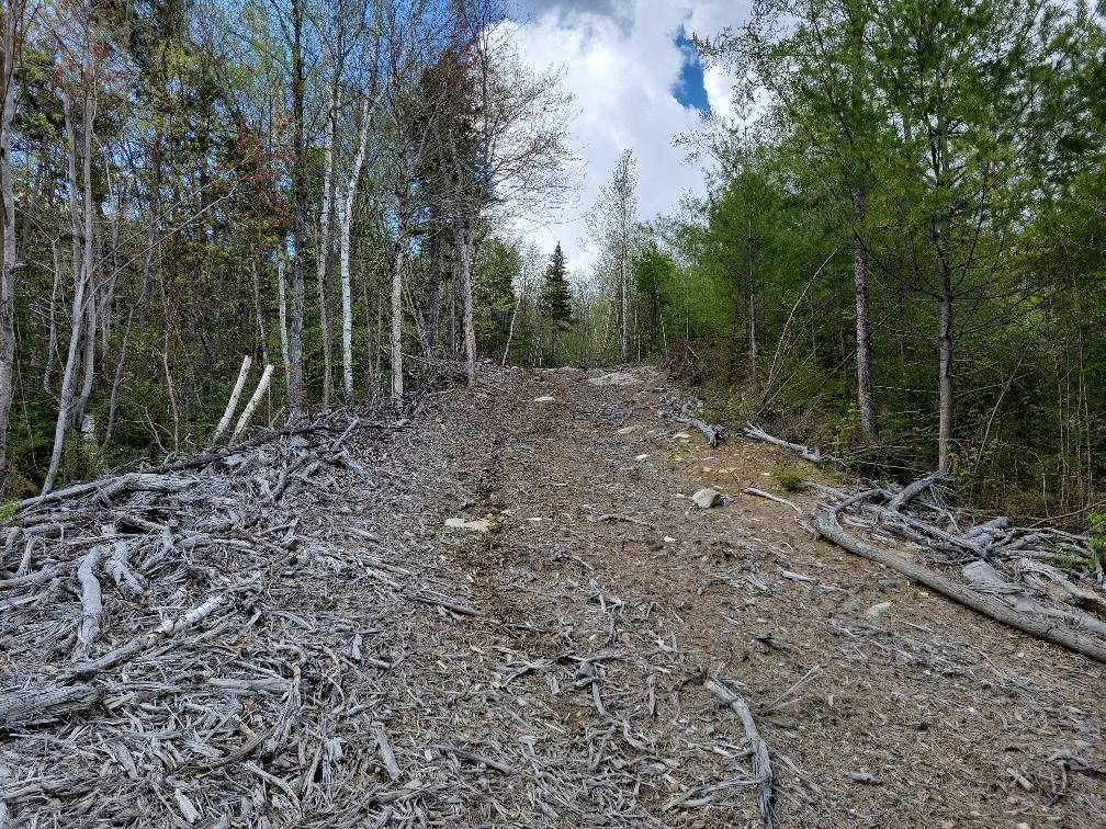 Lot 11 Swift River Road Byron, ME 04275 - Photo 18 of 72 photo_13a1de26-5972-44bd-aaa4-ecb03e65fa