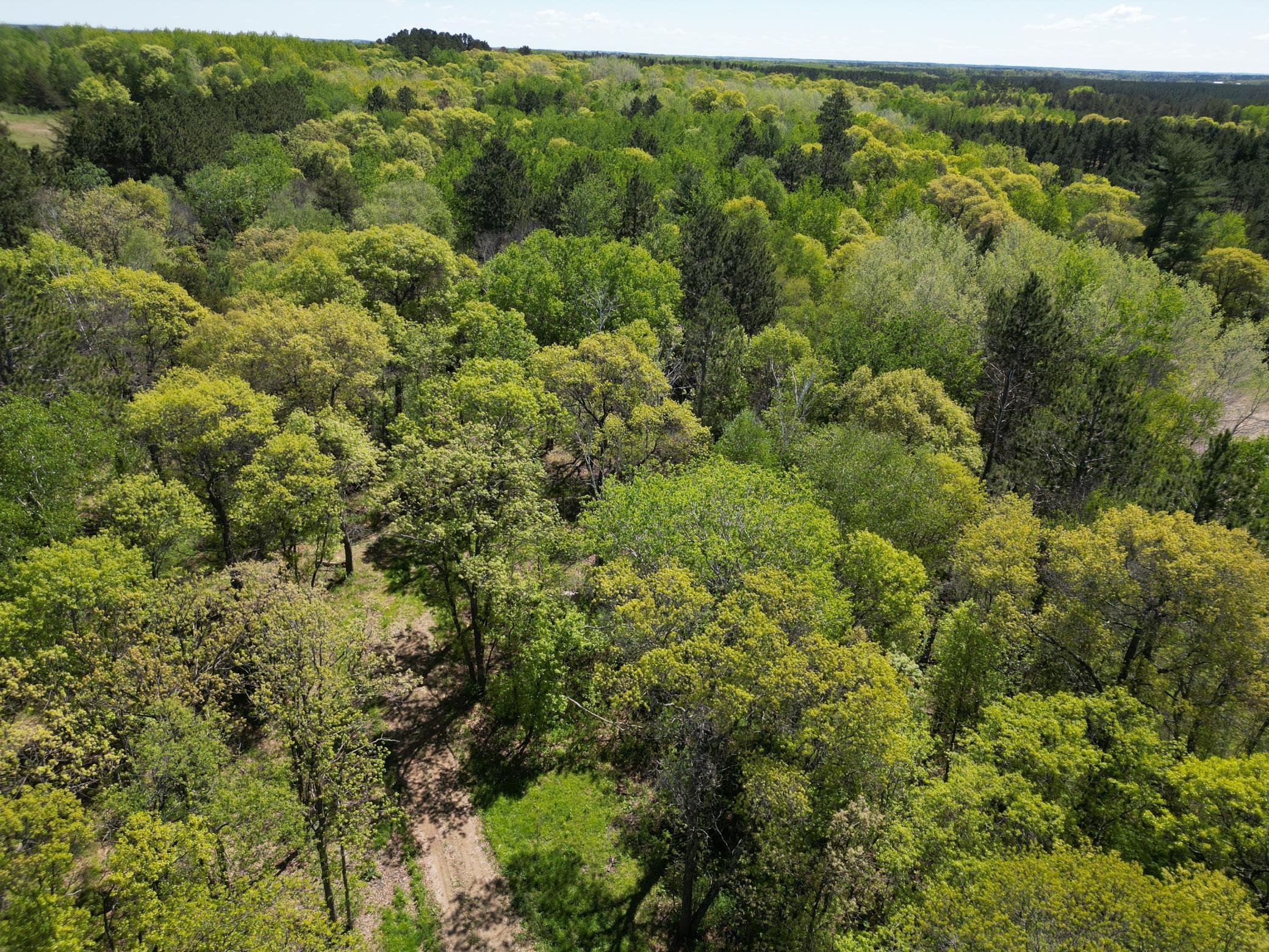 2 County 2 Nevis, MN 56467 - Photo 3 of 11