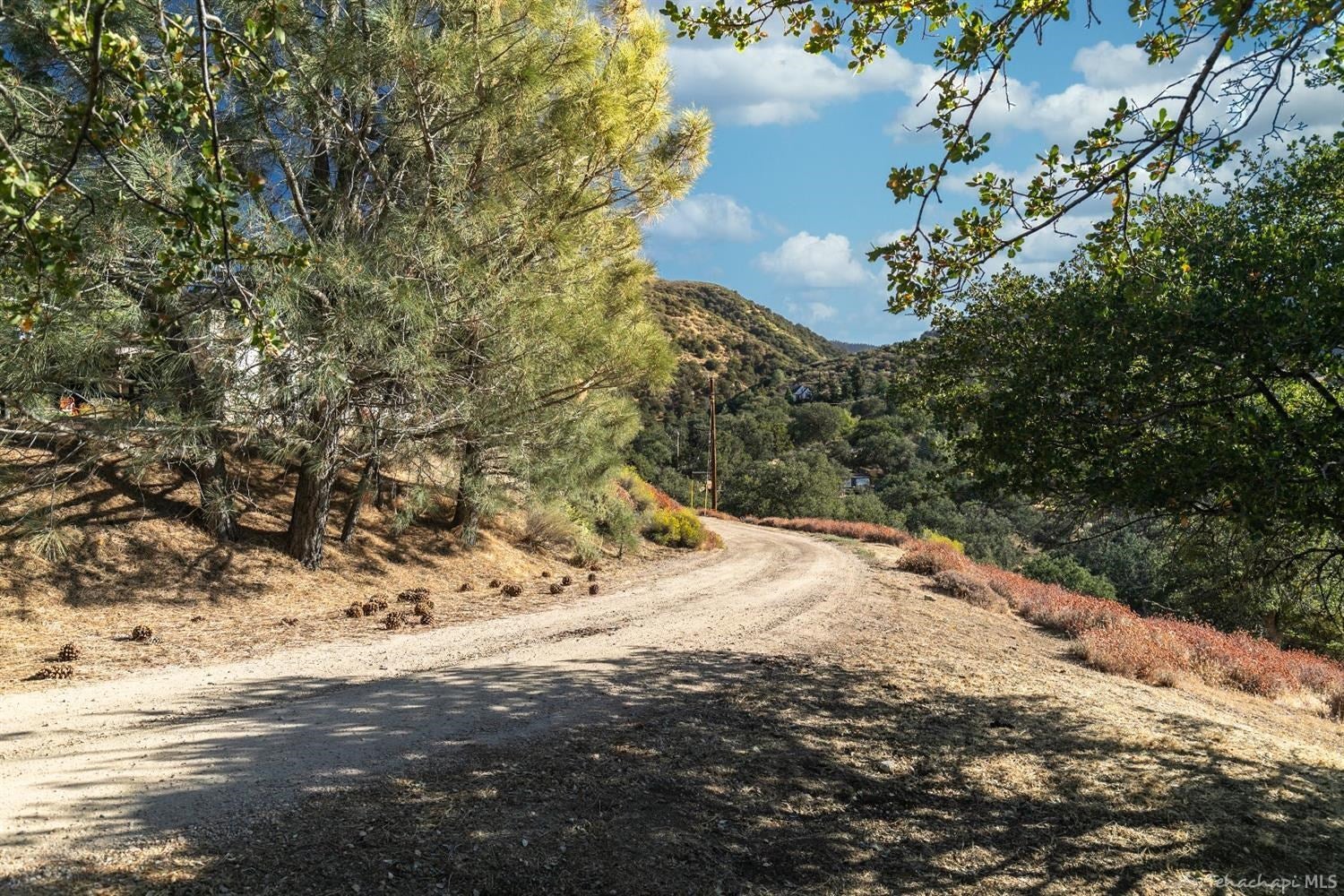 19247 Water Canyon Road Tehachapi, CA 93561 - Photo 43 of 46 Gallery Image 43