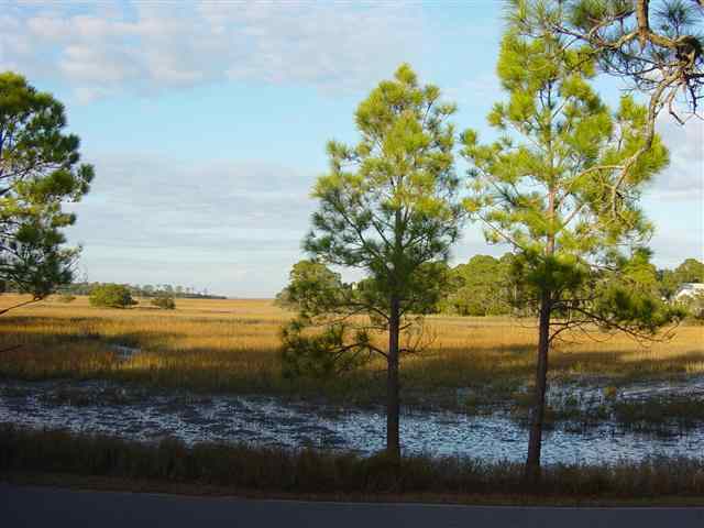 856 Fiddlers Ridge Road Fripp Island, SC 29920 - Photo 3 of 19 Additional Photo