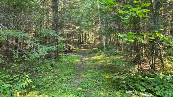 $450,000 | Tbd33 Tbd33 Donovan Point, Orr, MN 55771