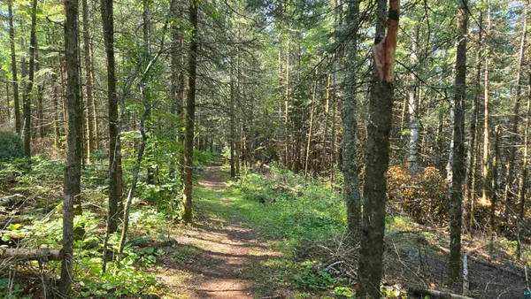 $450,000 | Tbd33 Tbd33 Donovan Point, Orr, MN 55771