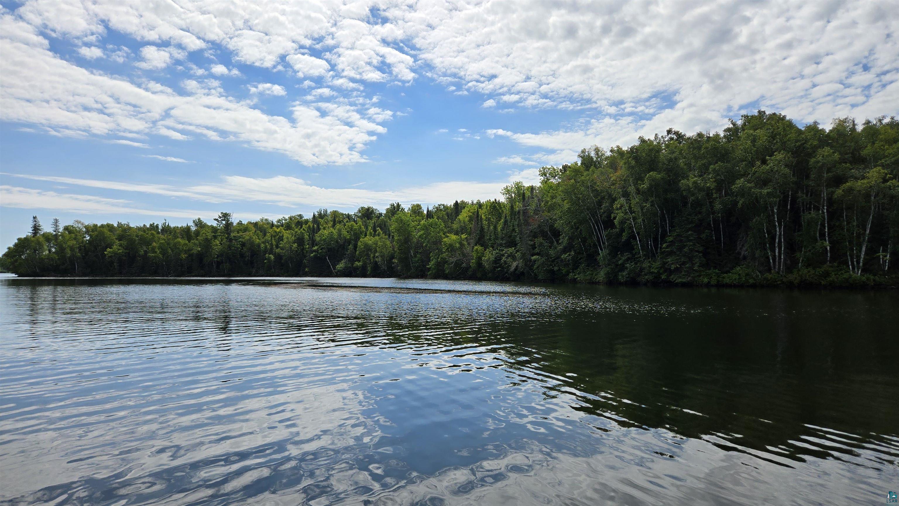 Tbd33 Tbd33 Donovan Point Orr, MN 55771 - Photo 47 of 50 Water view featuring a heavily wooded area