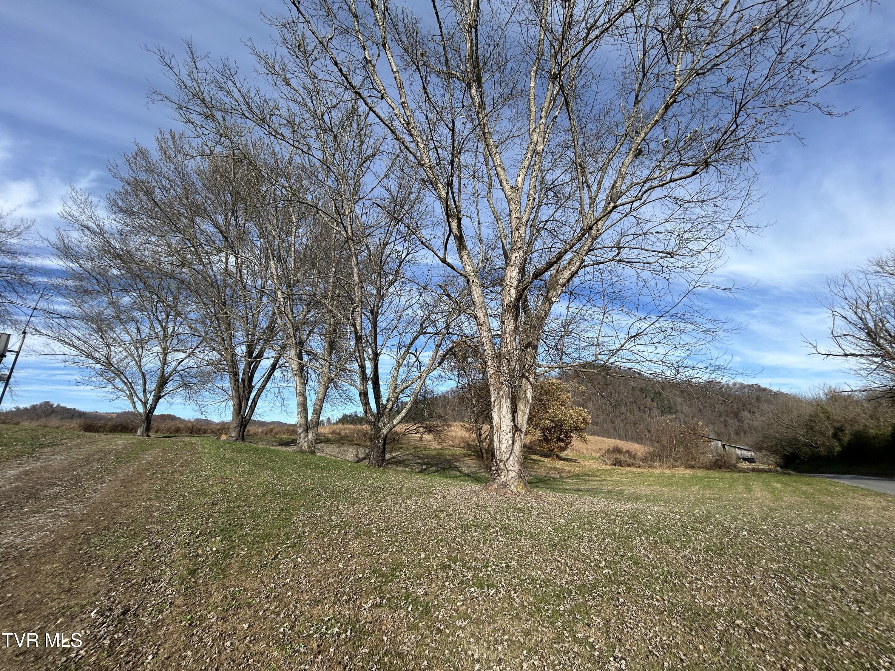 2151 Horton Ford Road Eidson, TN 37731 - Photo 12 of 54 IMG_6771