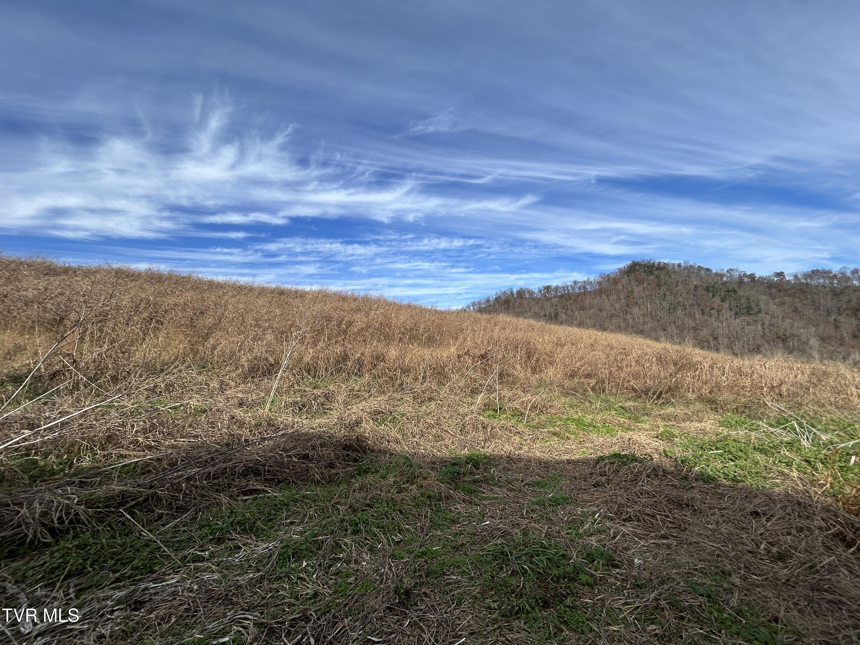 2151 Horton Ford Road Eidson, TN 37731 - Photo 15 of 54 IMG_6774