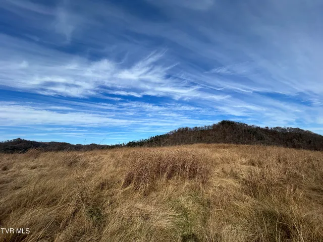 $799,000 | 2151 Horton Ford Road, Eidson, TN 37731