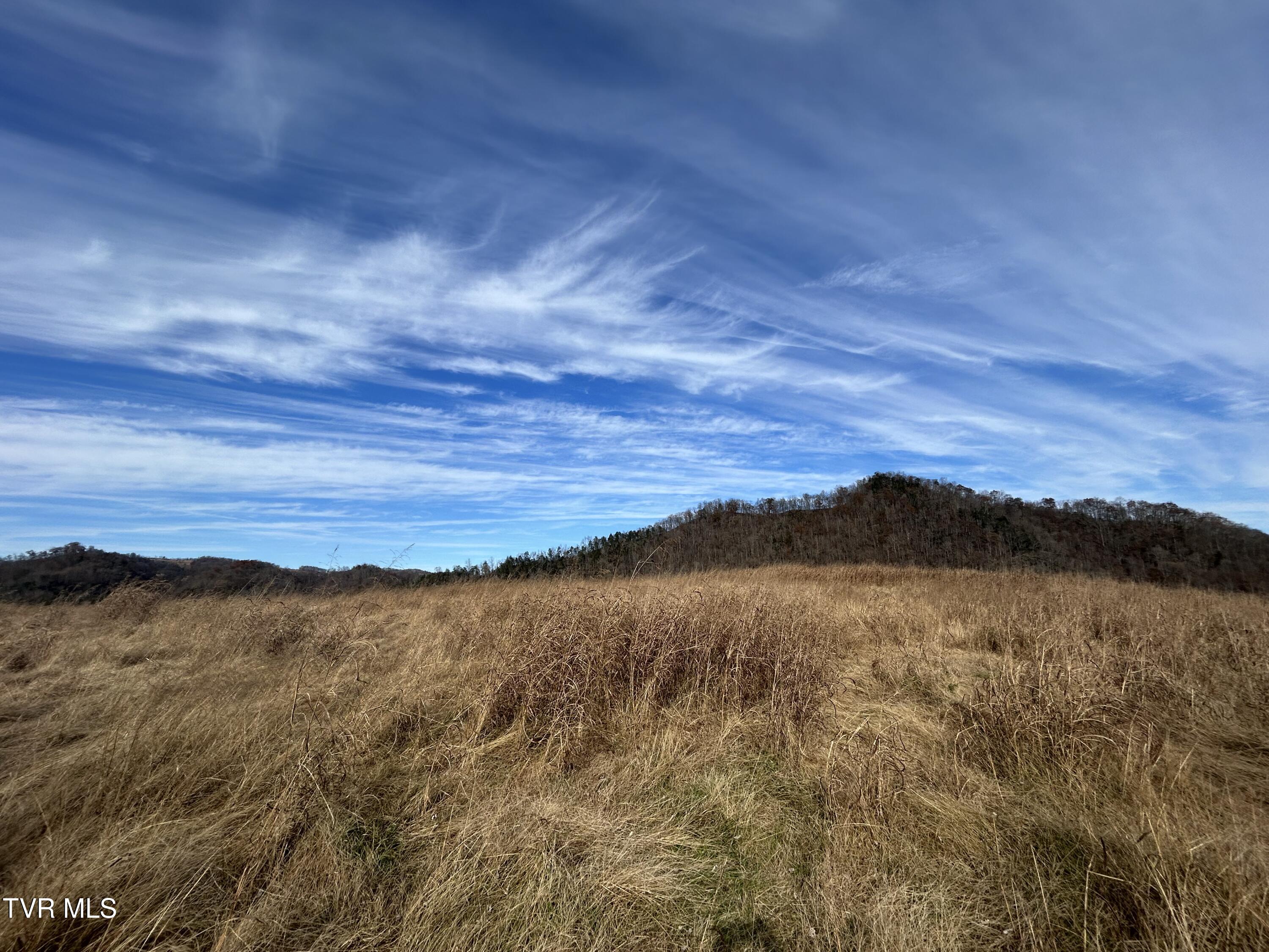 2151 Horton Ford Road Eidson, TN 37731 - Photo 25 of 54 IMG_6785