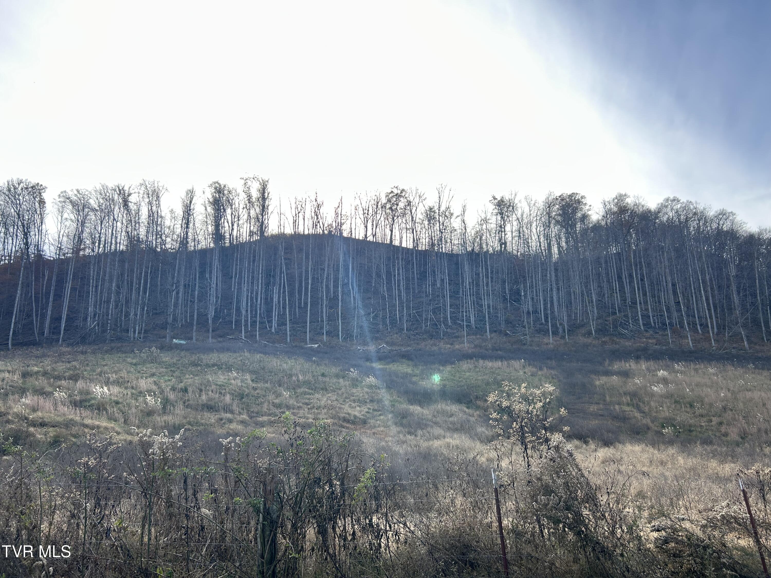 2151 Horton Ford Road Eidson, TN 37731 - Photo 30 of 54 IMG_6794