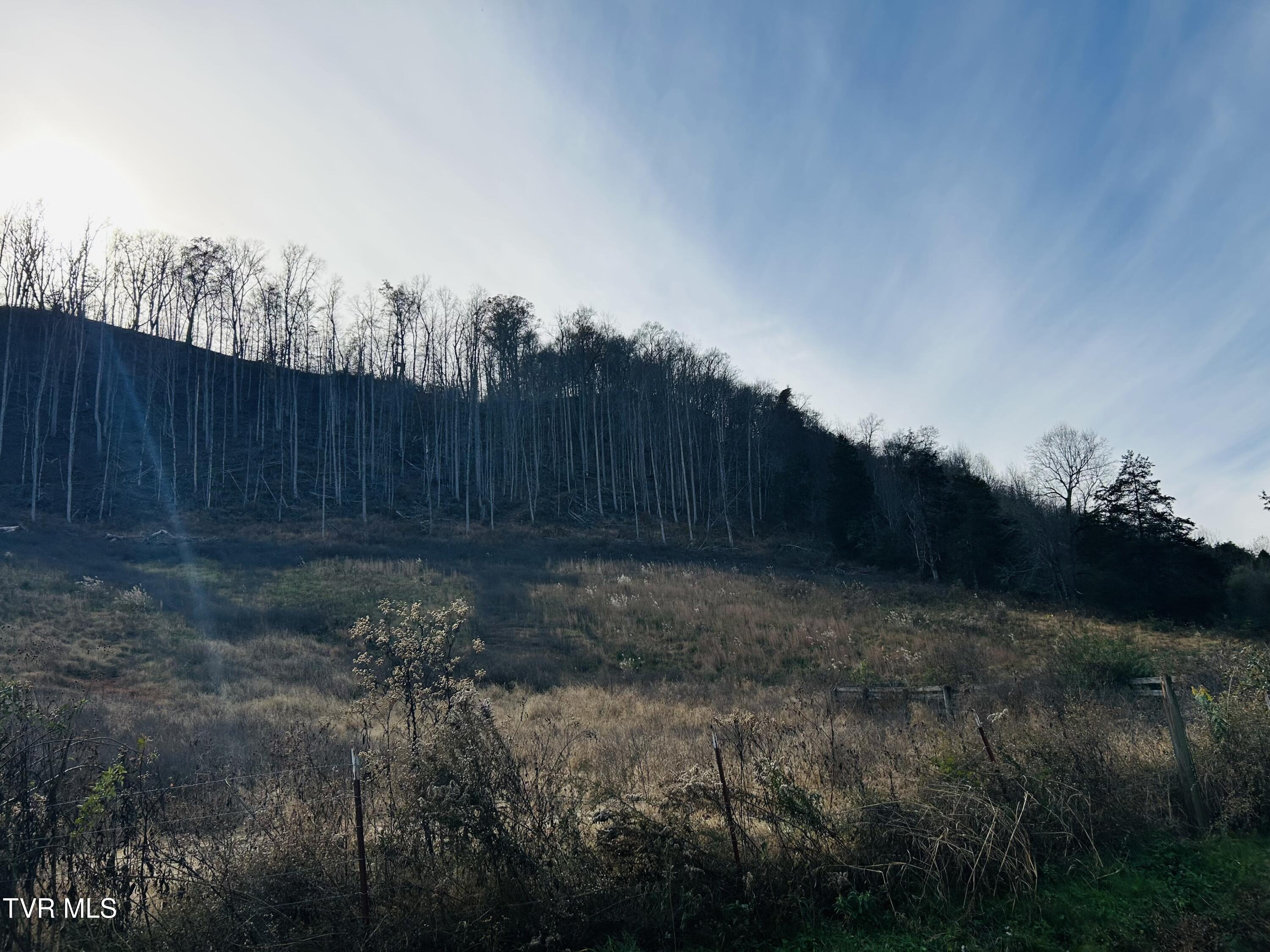 2151 Horton Ford Road Eidson, TN 37731 - Photo 31 of 54 IMG_6796