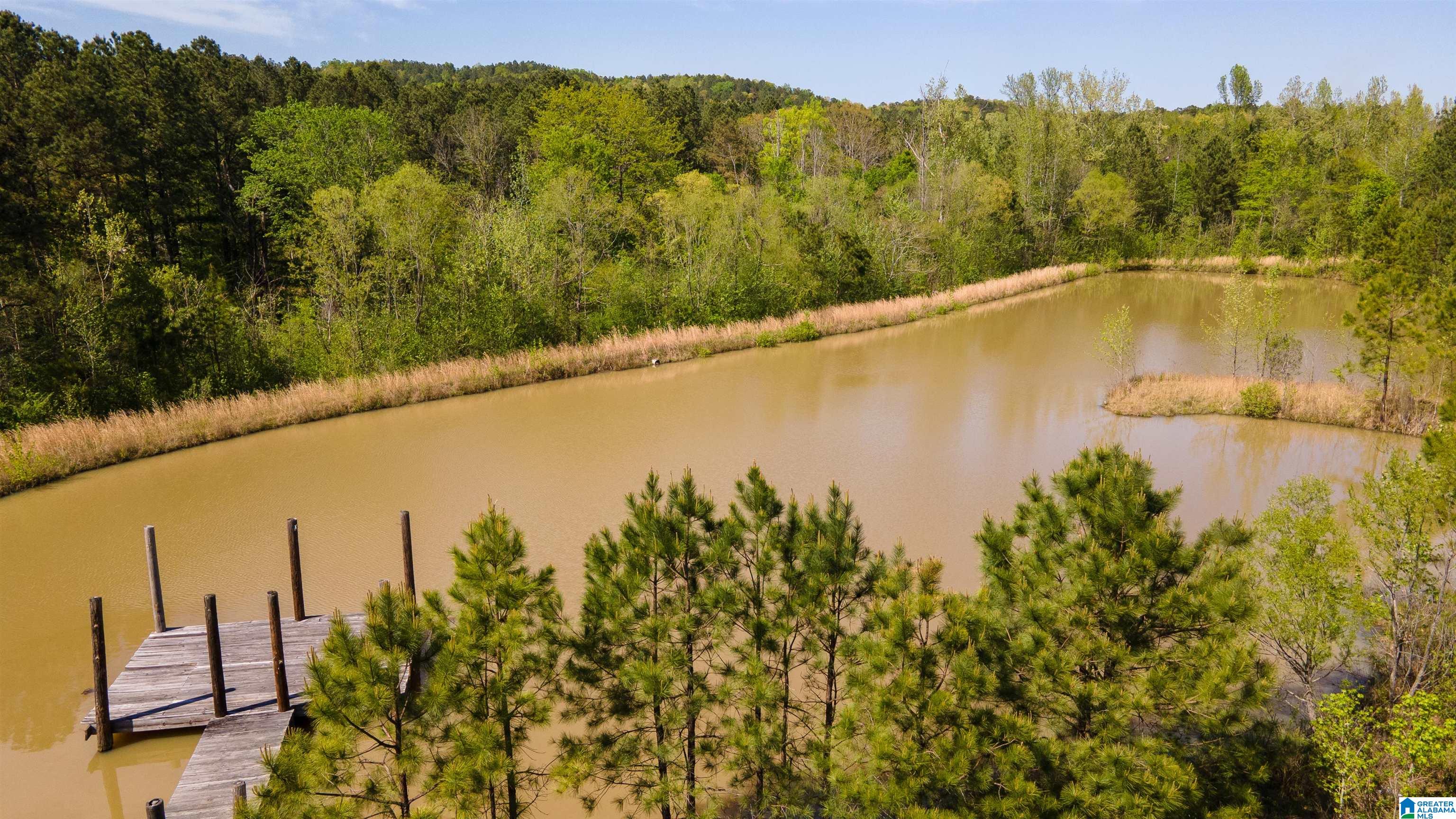 3554 Possum Trot Road Piedmont, AL 36272 - Photo 12 of 18