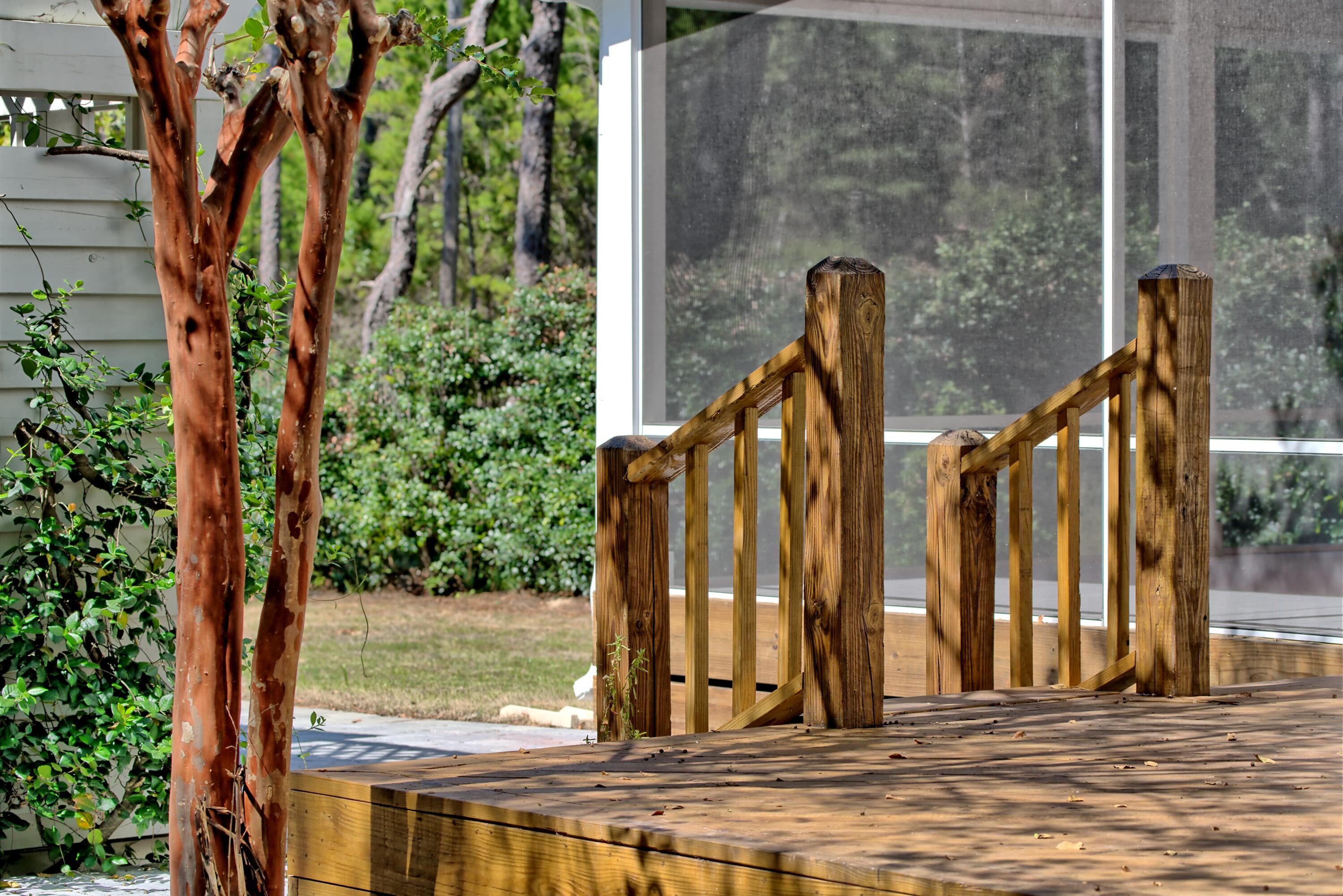 521 Clareon Drive Inlet Beach, FL 32461 - Photo 60 of 66 a view of a door with a tree
