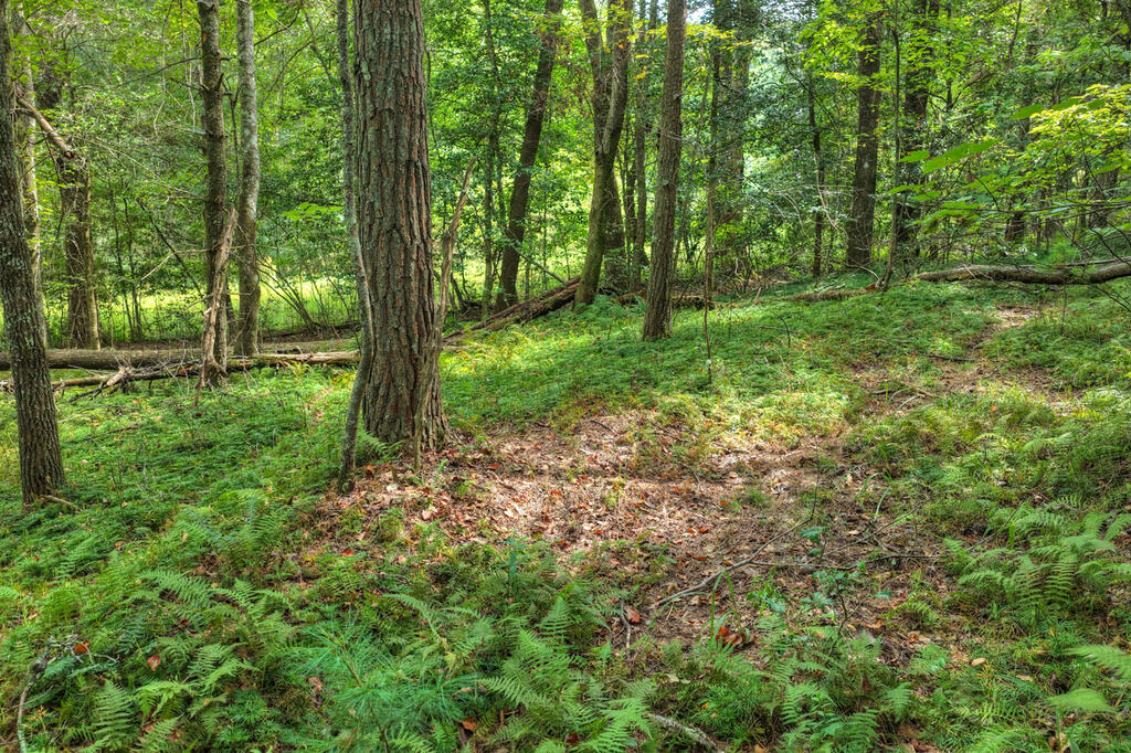 4.70-ac Chestnut Gap Lane Blue Ridge, GA 30513 - Photo 11 of 28 Gallery Image 11