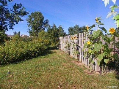 51783 Rivard Road New Baltimore, MI 48047 - Photo 22 of 24 garden.jpg
