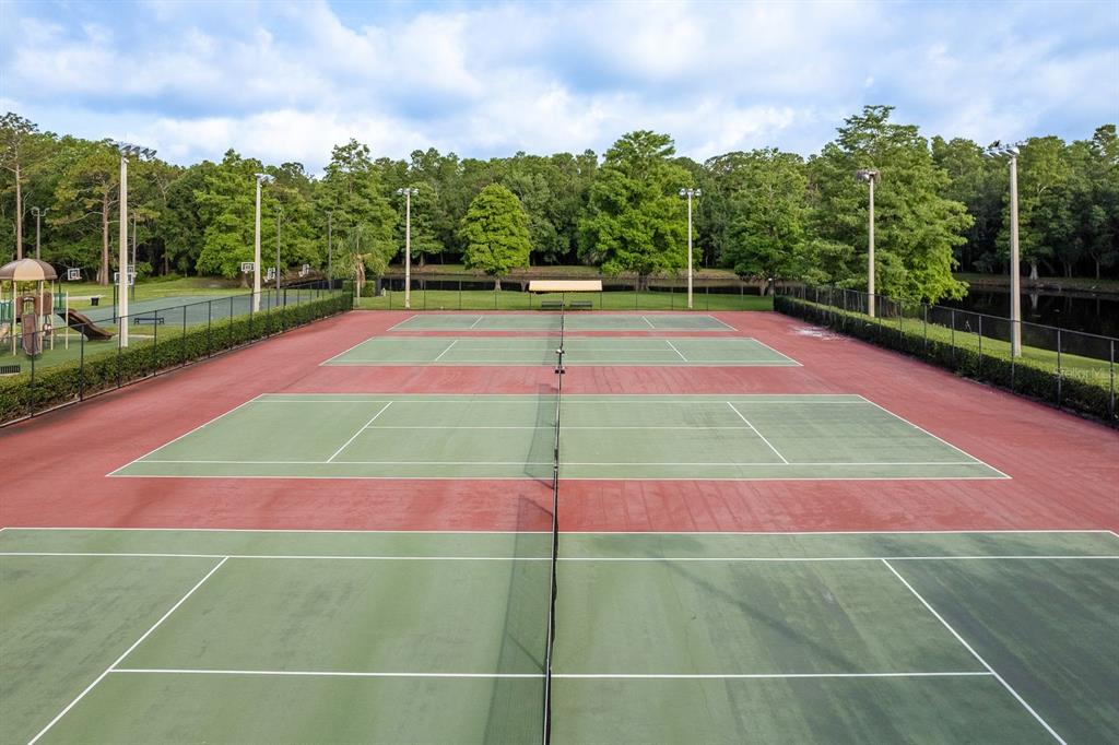 3857 Timber Ridge Court Palm Harbor, FL 34685 - Photo 48 of 56