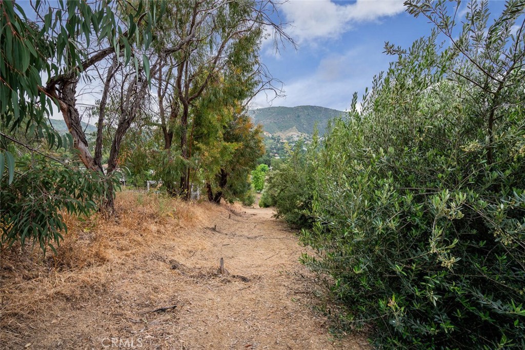73 Dapplegray Road Bell Canyon, CA 91307 - Photo 5 of 8 a view of a yard with plants and trees