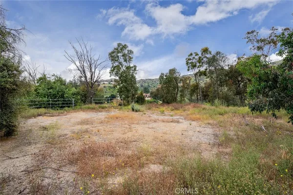 a view of a yard with a tree