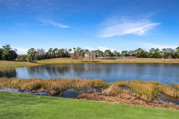 a view of a lake with houses in the background