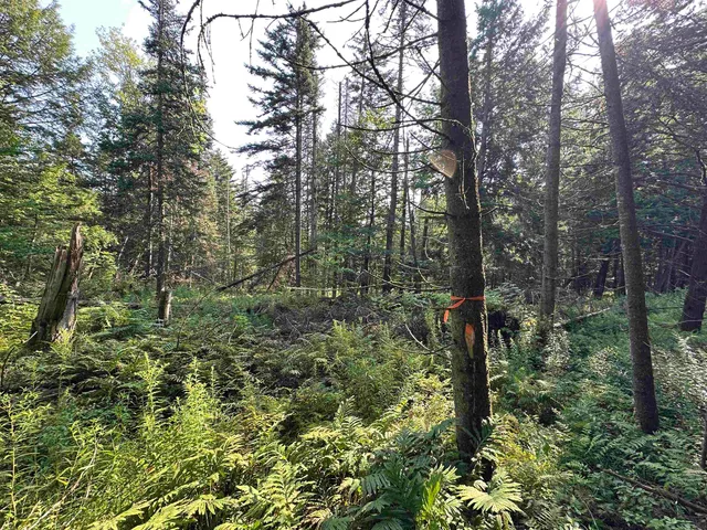 $85,000 | 1 Elmore Pond Road, Wolcott, VT 05680