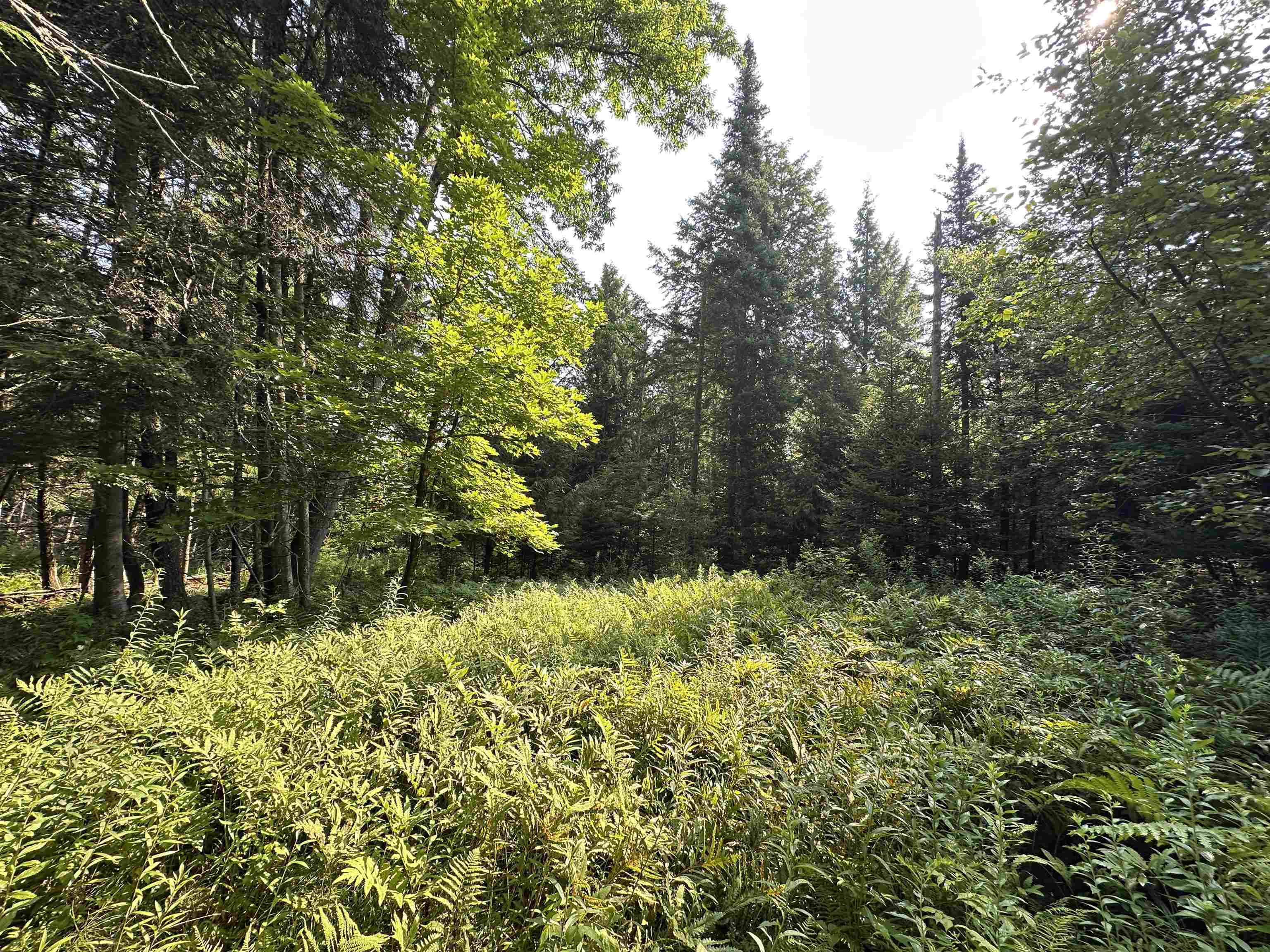 1 Elmore Pond Road Wolcott, VT 05680 - Photo 6 of 15