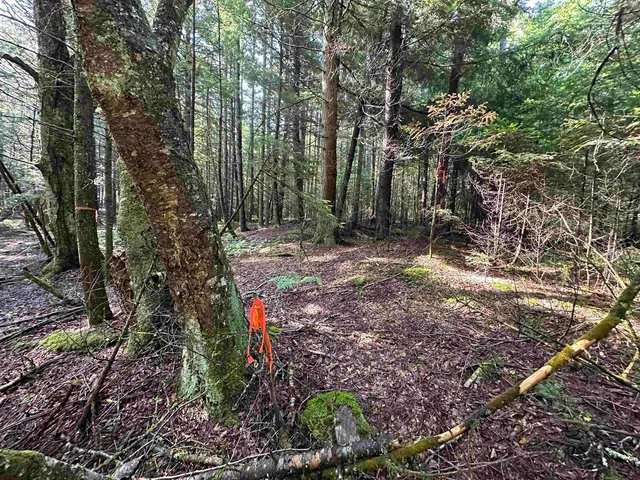 $85,000 | 1 Elmore Pond Road, Wolcott, VT 05680