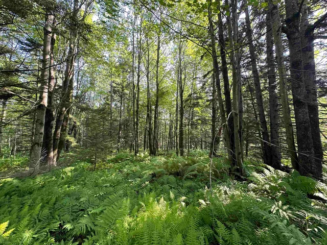 $85,000 | 1 Elmore Pond Road, Wolcott, VT 05680