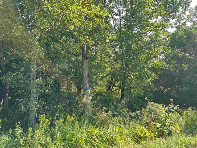 $85,000 | 1 Elmore Pond Road, Wolcott, VT 05680