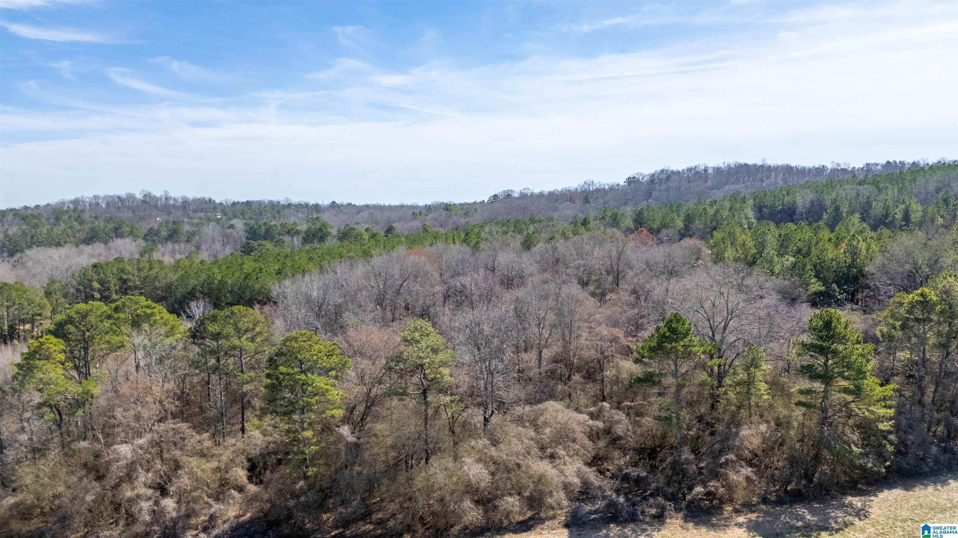 0 Brooks Lake Road, Unit 1 Lincoln, AL 35096 - Photo 8 of 10