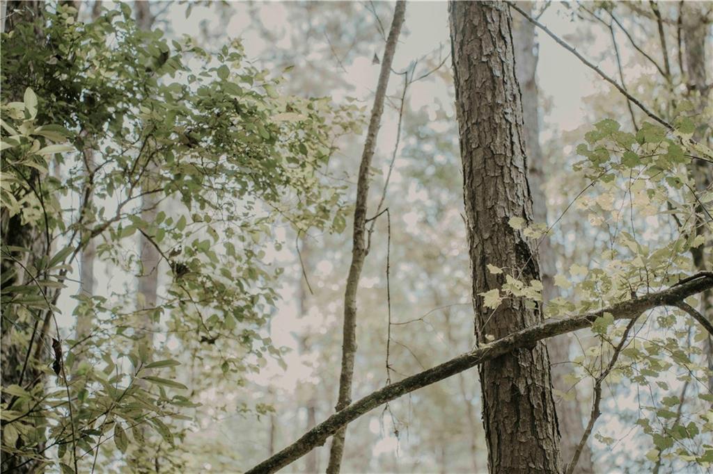 0 Hwy 1083 (ben Williams Road Covington, LA 70435 - Photo 19 of 47 Gallery Image 19