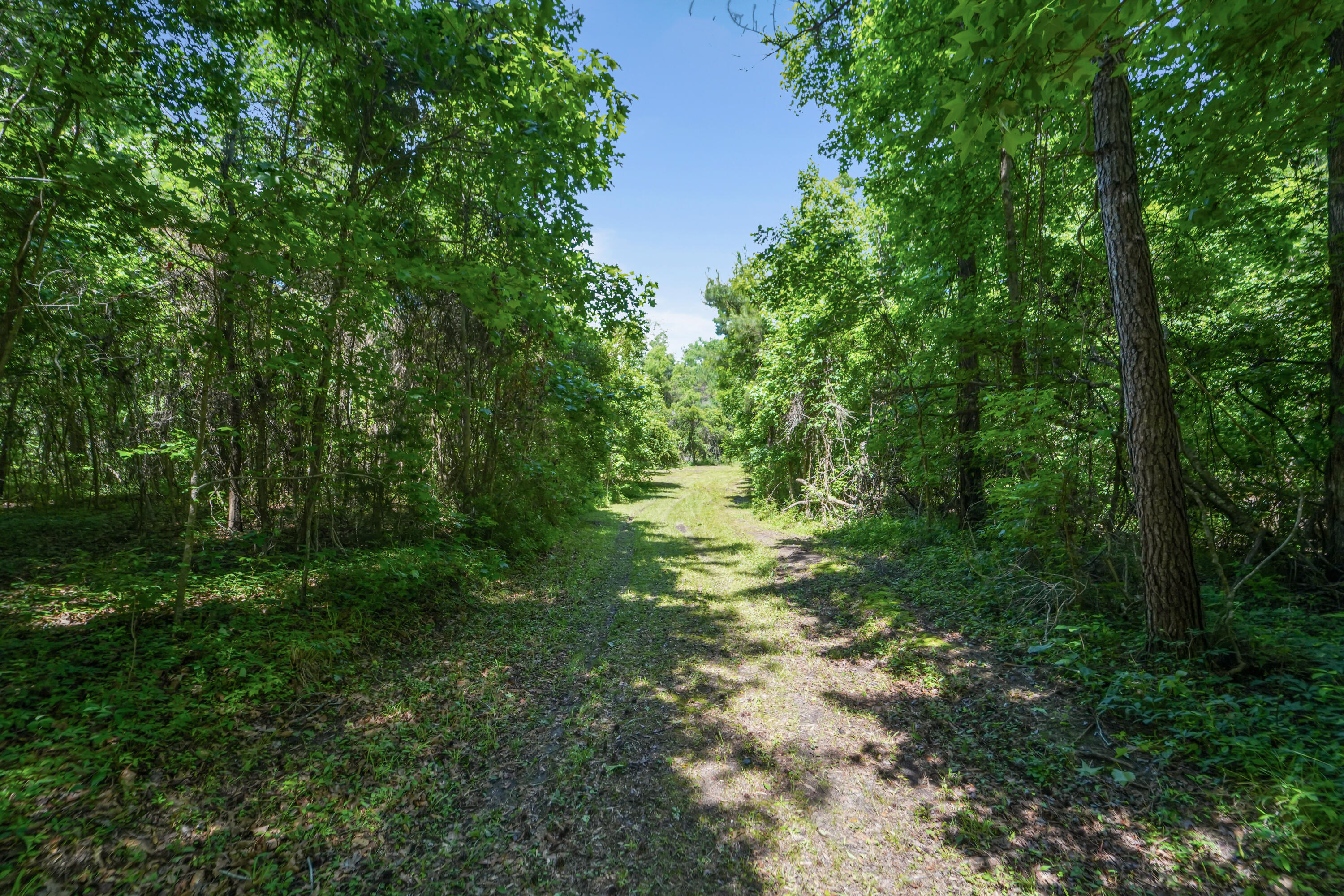200 Riva Ridge Lane Round O, SC 29474 - Photo 11 of 23 DSC08186