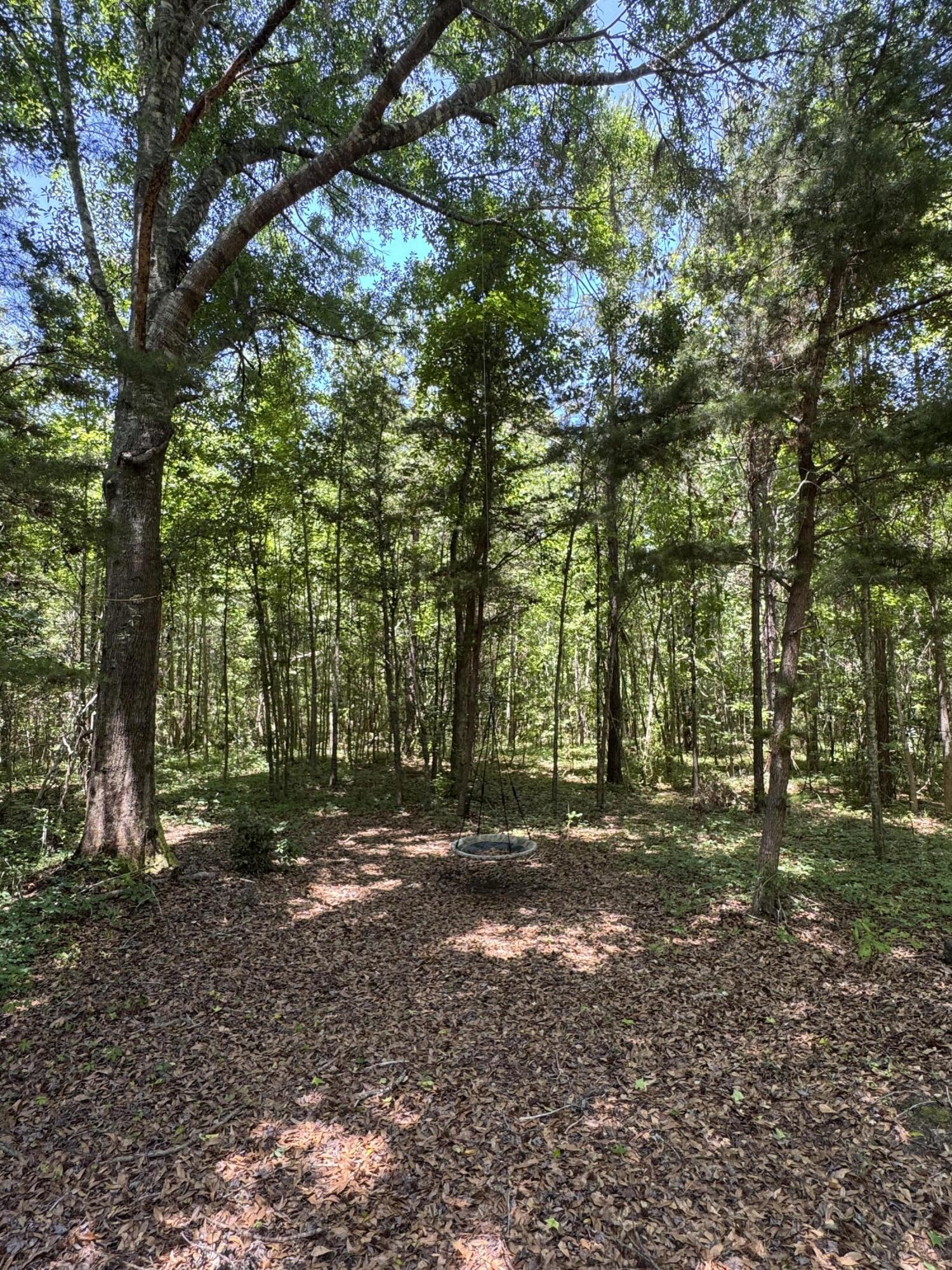 200 Riva Ridge Lane Round O, SC 29474 - Photo 17 of 23 IMG_4728