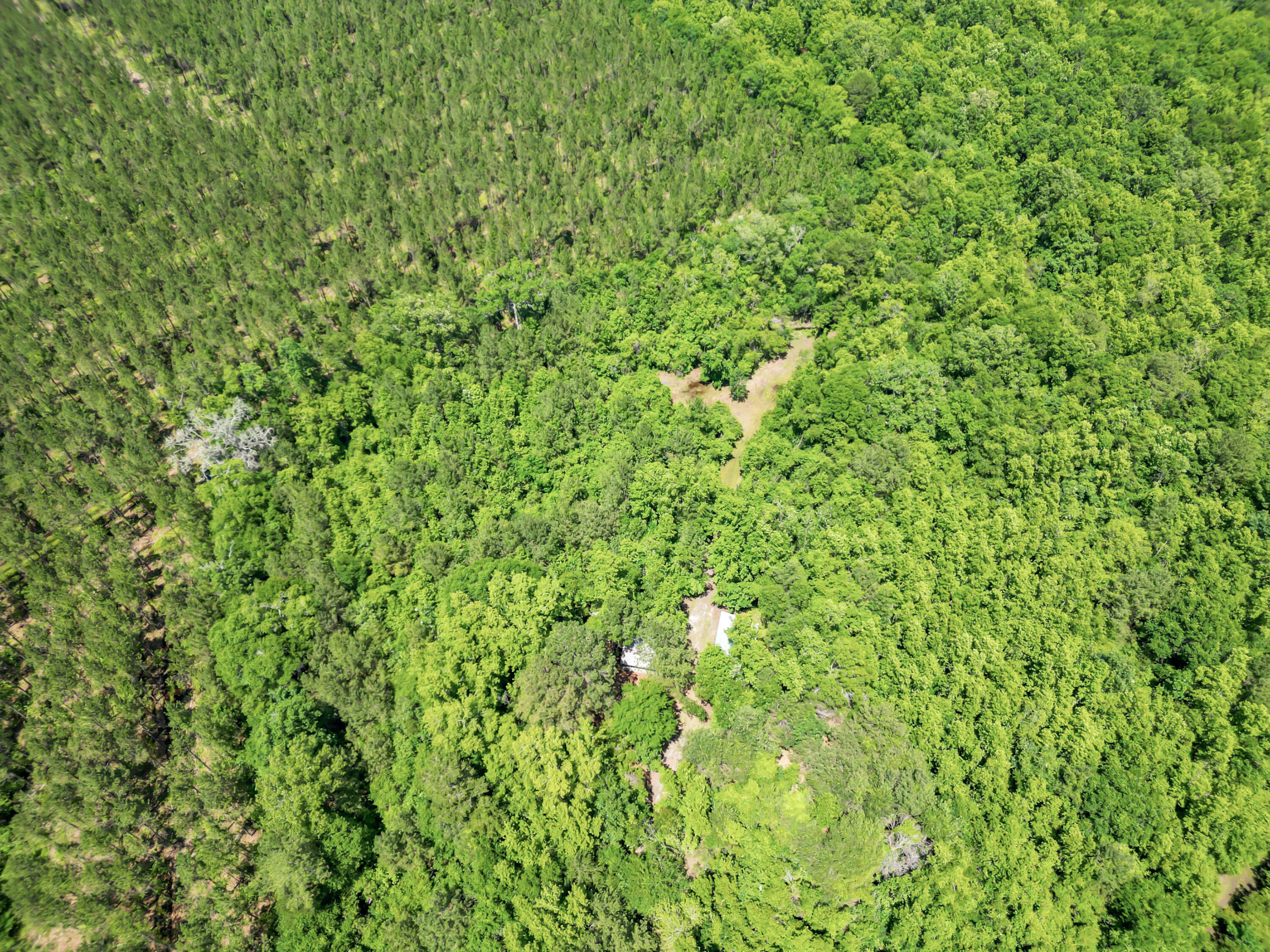 200 Riva Ridge Lane Round O, SC 29474 - Photo 18 of 23 DJI_0302