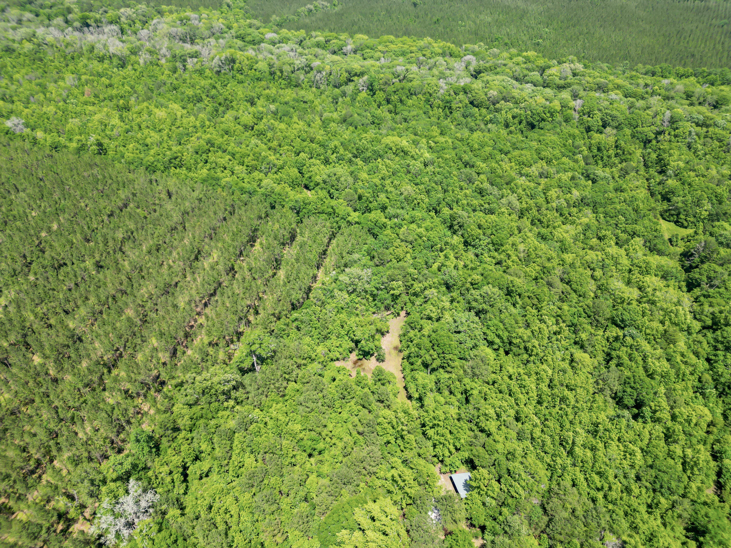 200 Riva Ridge Lane Round O, SC 29474 - Photo 21 of 23 DJI_0317