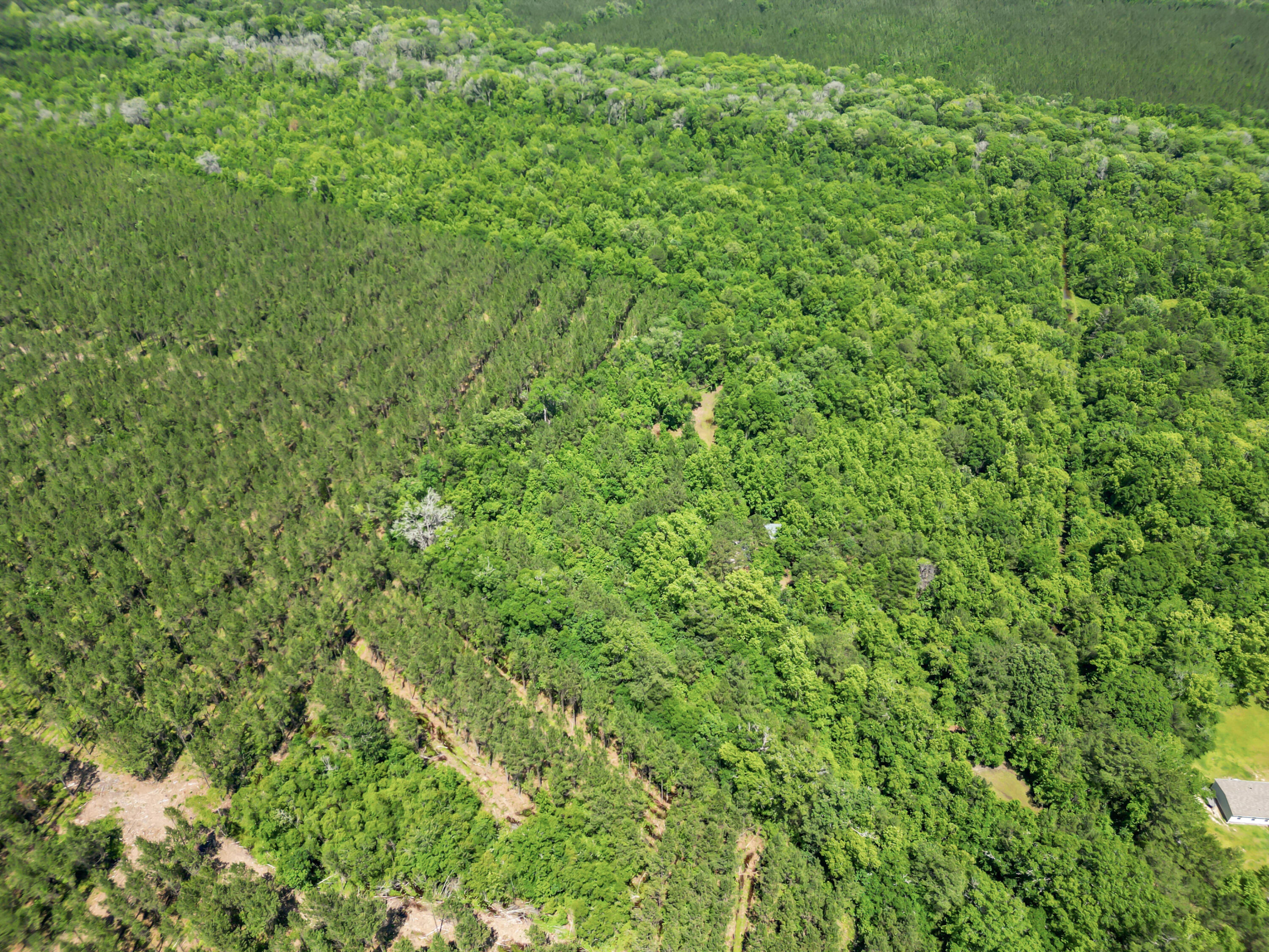 200 Riva Ridge Lane Round O, SC 29474 - Photo 22 of 23 DJI_0322
