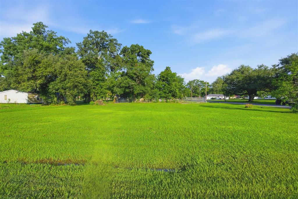 7697 Alabama Avenue Hayes, LA 70646 - Photo 8 of 9